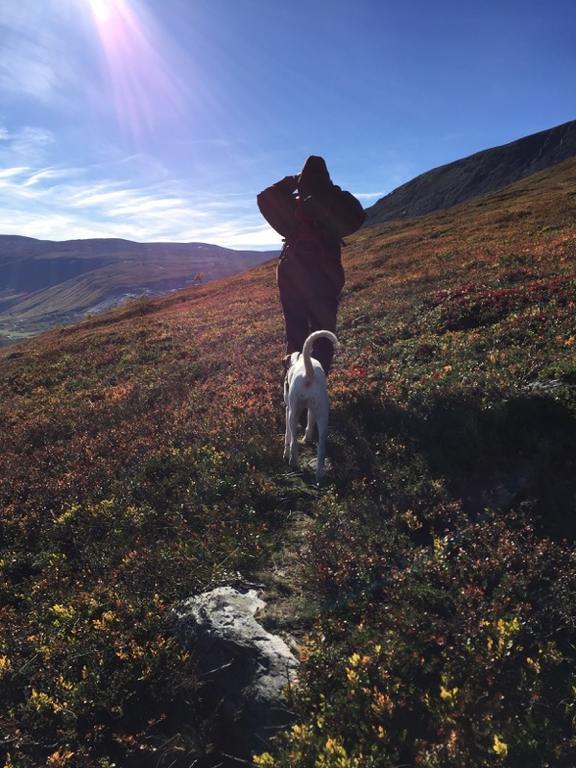 Magalaupe Camping Oppdal Eksteriør billede